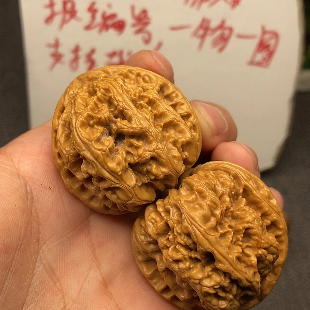 核桃粗筋41尺寸编号555