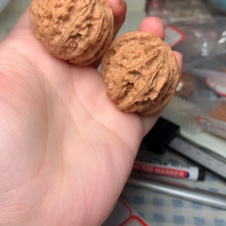 40尺寸苹果园全品