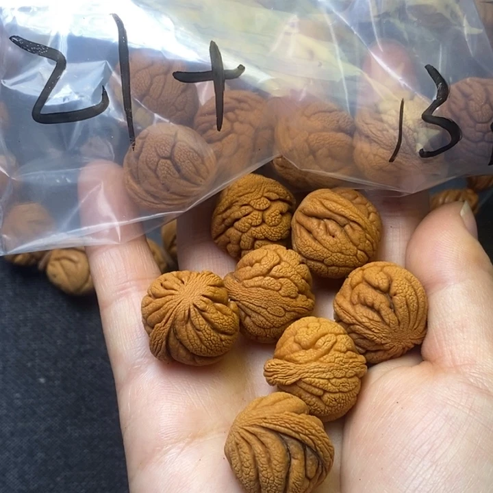 木质类秦岭山野生桃核