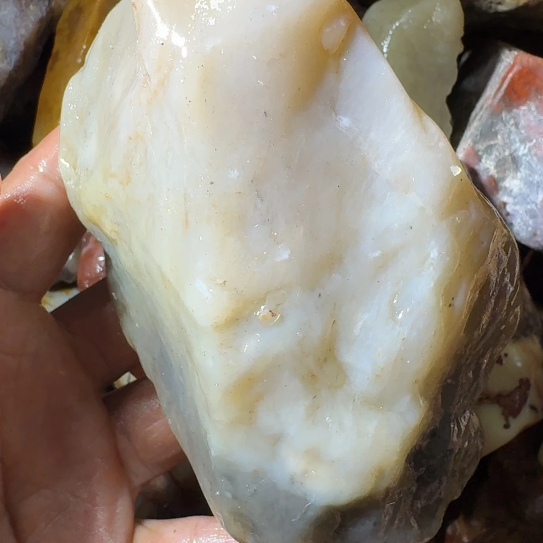 东***学寿山石89988998899988