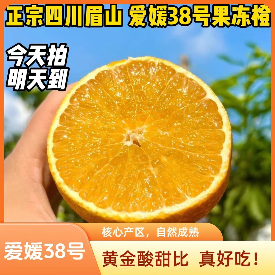 【爱媛38号果冻橙】 正宗眉山核心产区黄金酸甜比  顺丰极兔申通今天买明天到四川省