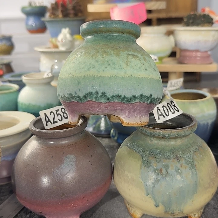 买五送一，当天凑够28口5高10