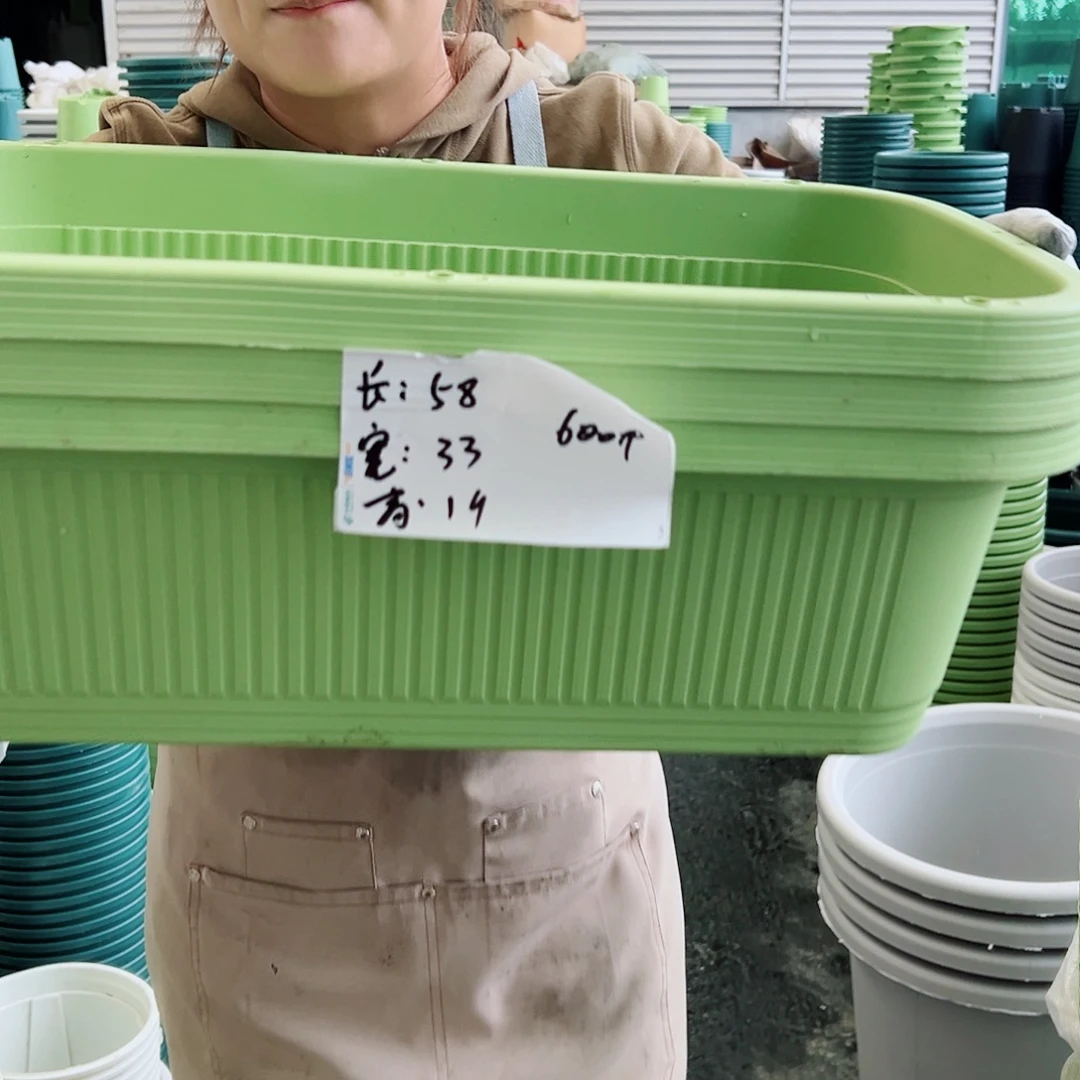 菜盆600#果绿色3个（含托盘）