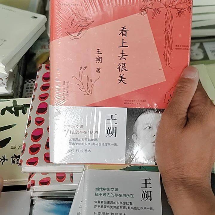 王朔看上去很美精装