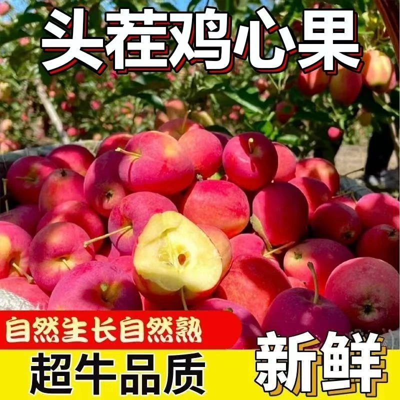 【热销】正宗东北特产鸡心果酸甜可口脆甜多汁新鲜现摘现发