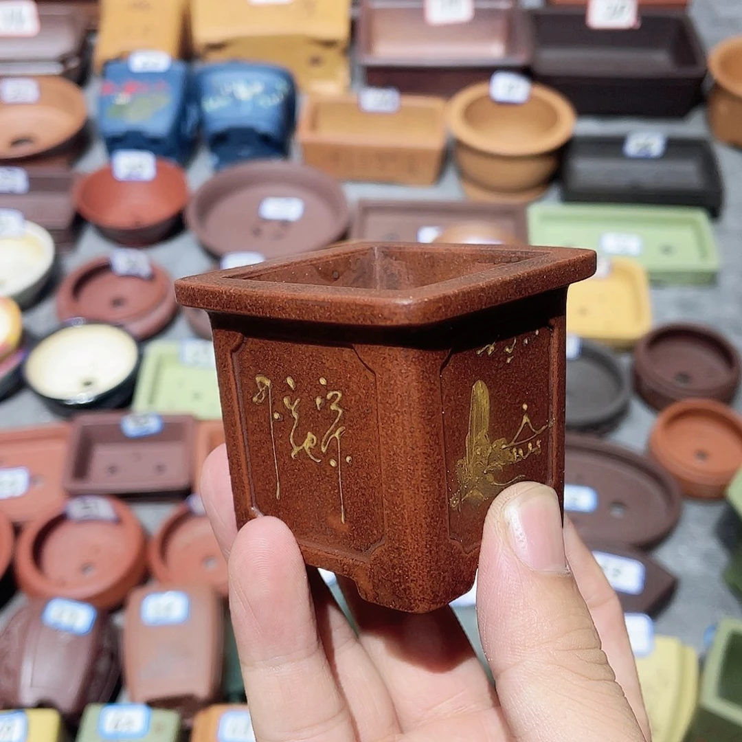 紫砂小盆4.5*4.5cmmmm