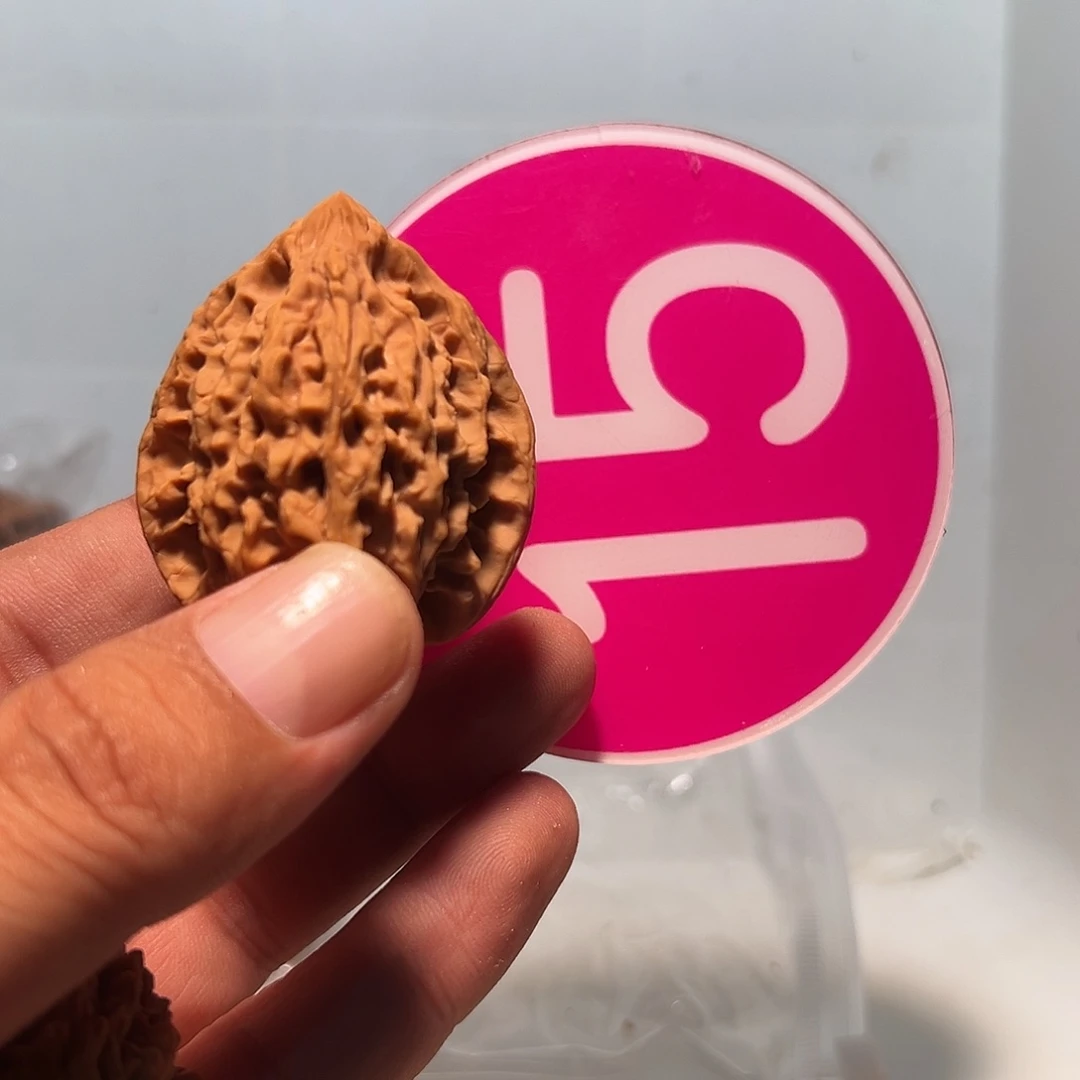 唐***唐文玩核桃，粉色15号