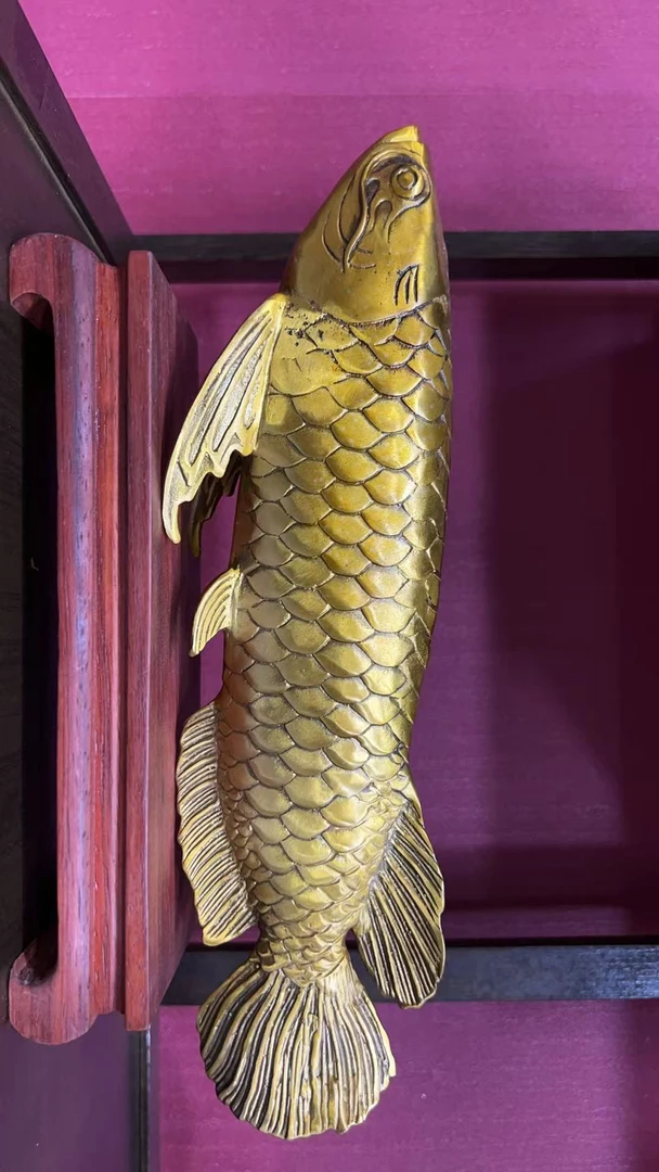 金龙鱼黄铜摆件名额 卡(绯 现 货）到 货 为 卡 片