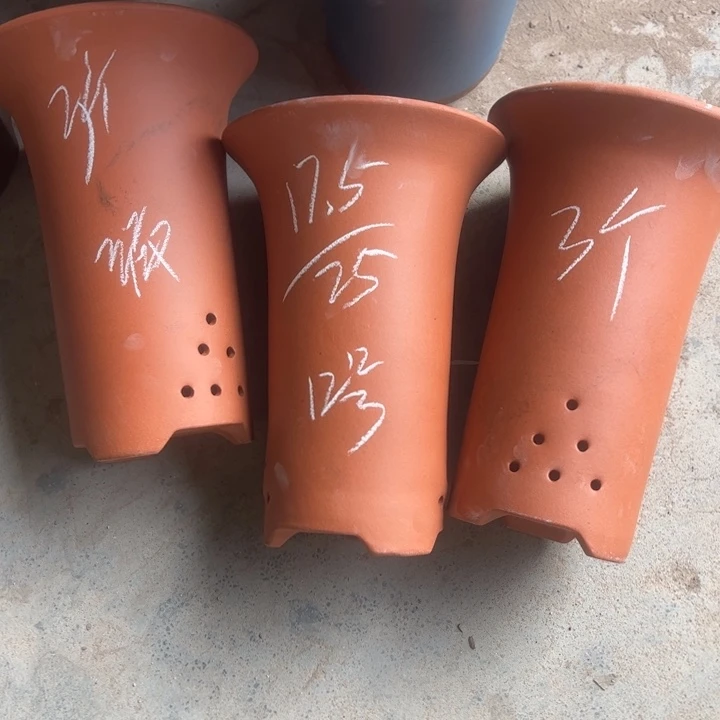 12号……………………………………………………