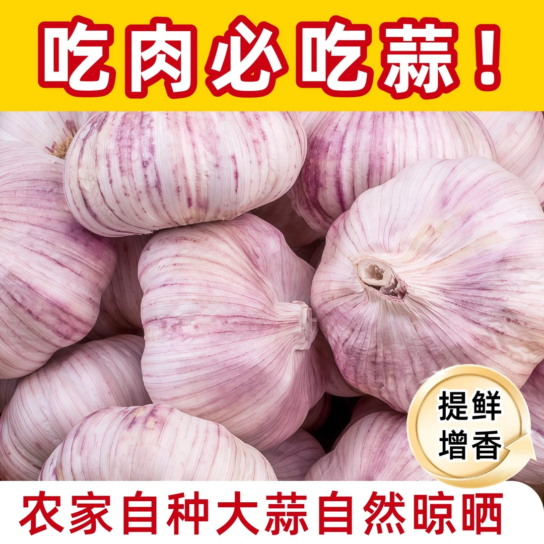 正宗紫白皮大蒜新鲜干蒜农产品生鲜特产C1