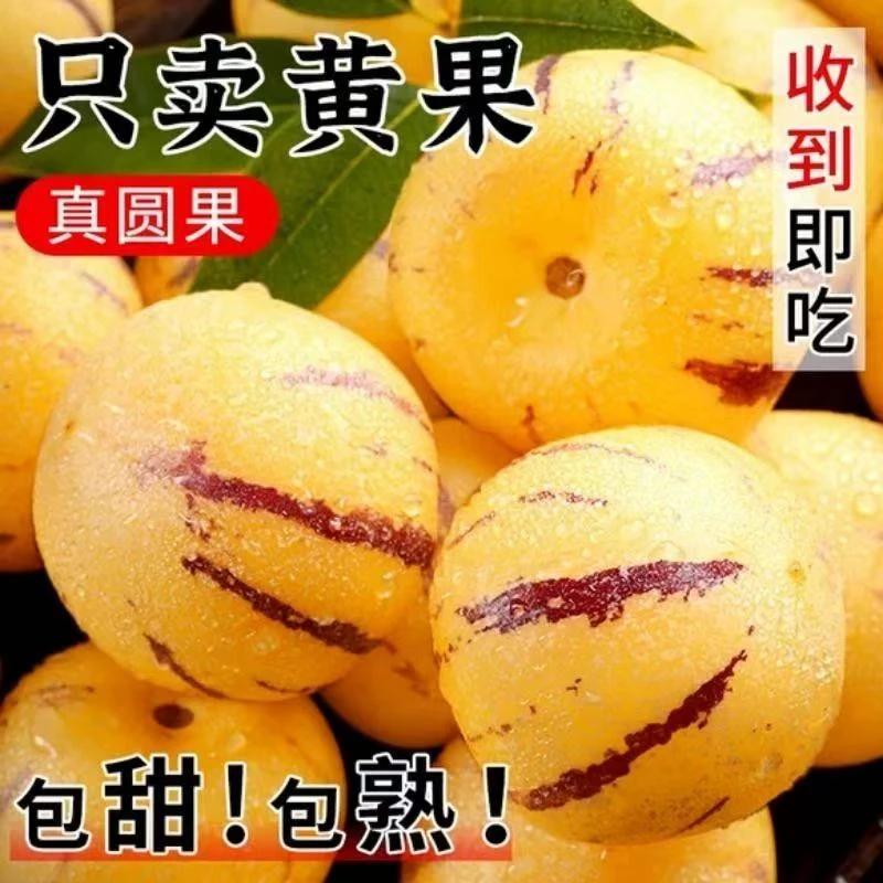 【5.99到手2颗超大果】正宗云南石林人参果 甜 汁水足省 【到货24小时售后 超24无】