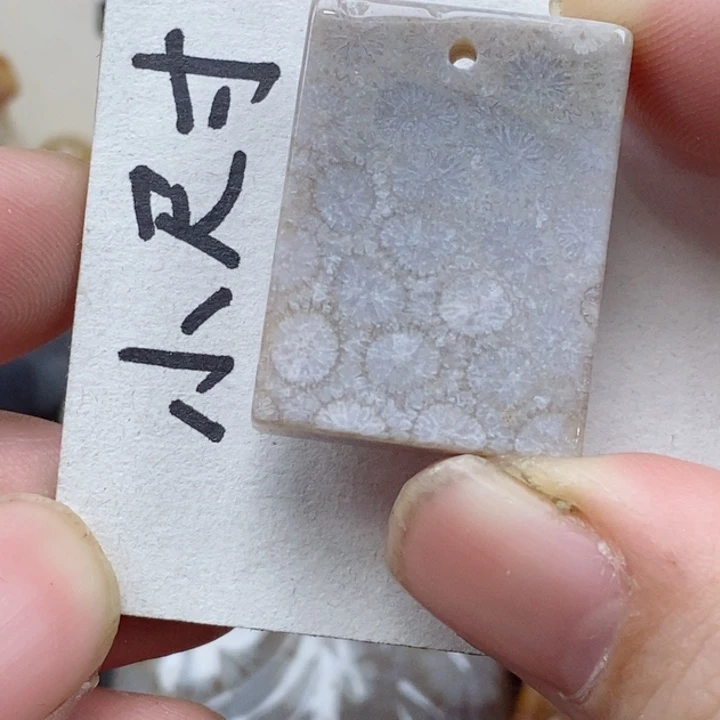 颈饰未镶嵌硅化珊瑚（珊瑚玉）