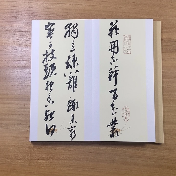 书法中书协会员作品