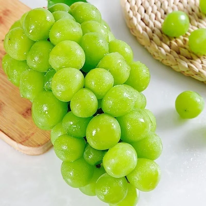 【现摘现发】京东包邮正宗阳光玫瑰葡萄新鲜应季水果脆甜产地直发