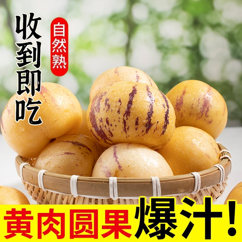 【低糖树熟】云南石林黄肉圆果树上熟果清甜多汁当季新鲜水果