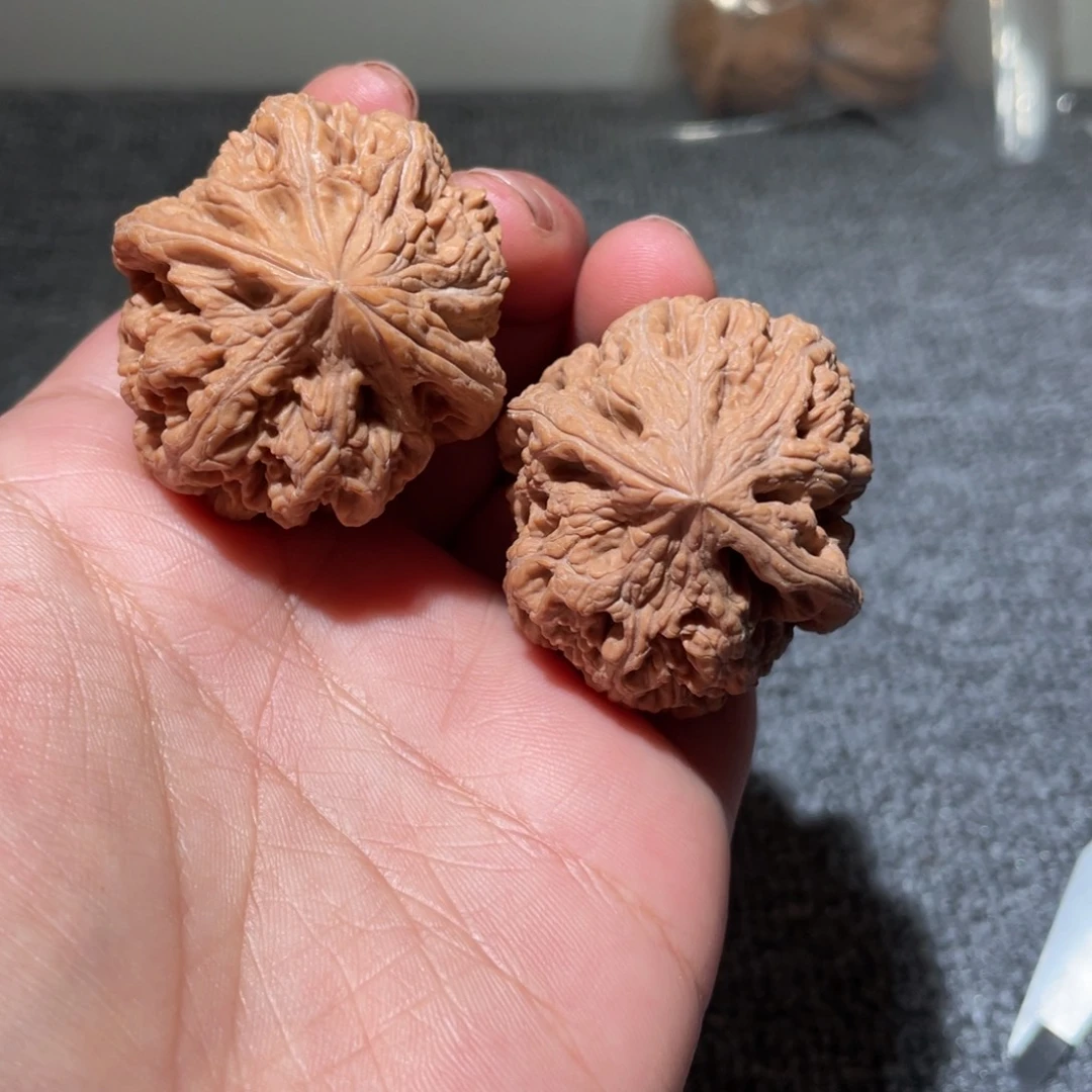 文玩核桃吊坠40全品粗筋