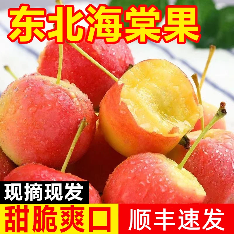 【特产】顺丰东北沙果特产海棠果新鲜当季应季孕妇酸甜脆秋红小苹果