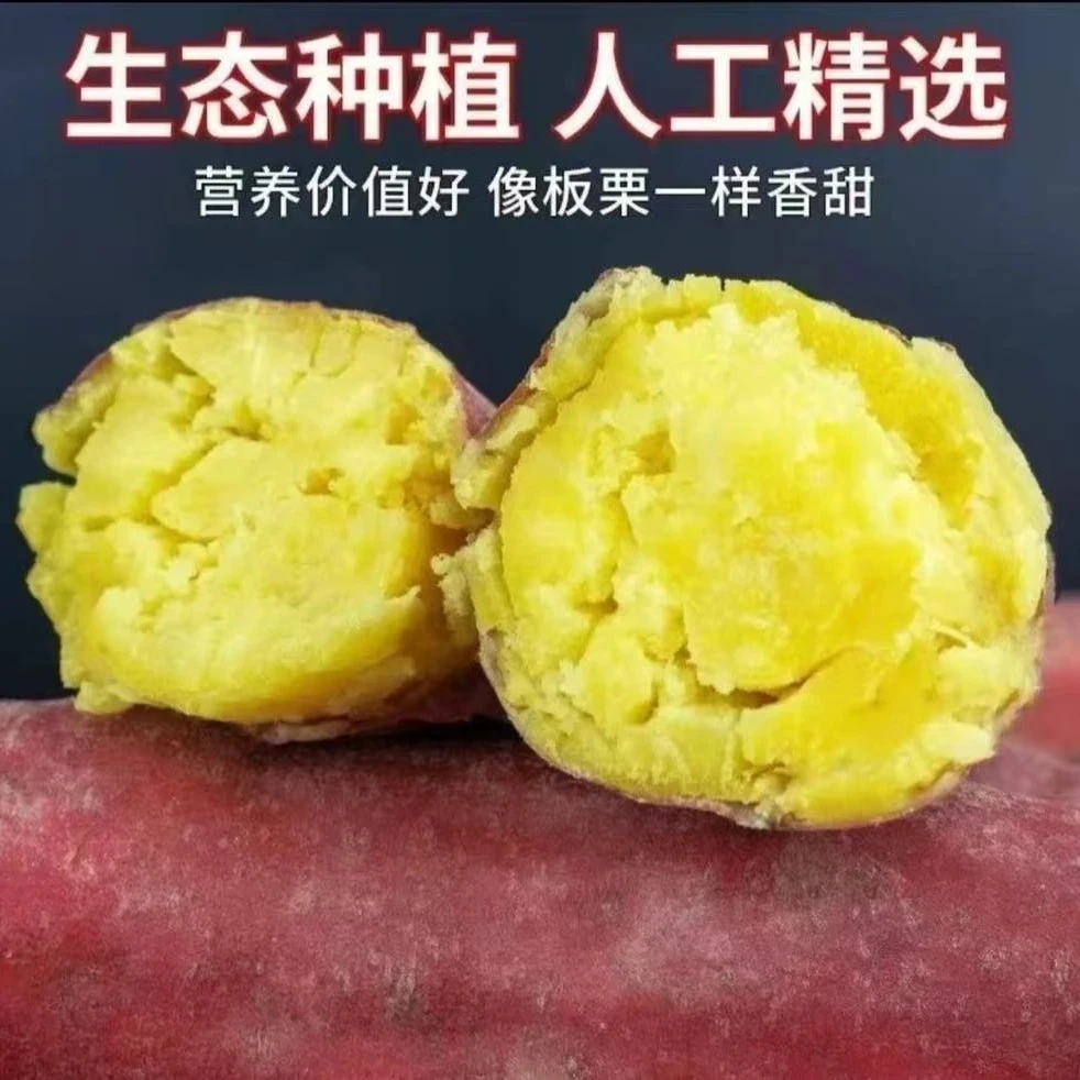 正宗黄心蜜薯新鲜现挖软糯香甜超甜地瓜番薯