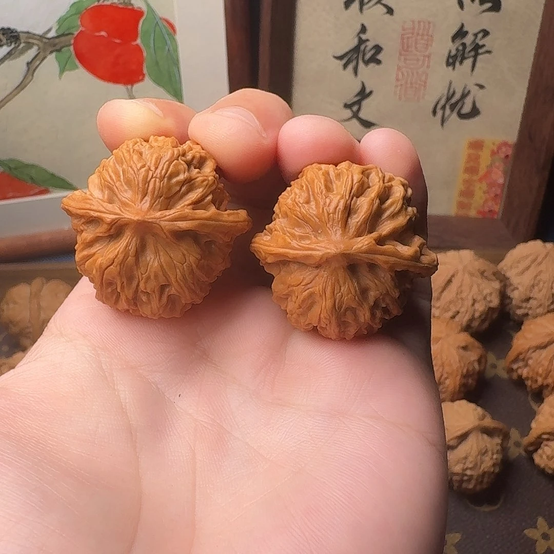 S***n核桃太行龙珠666888