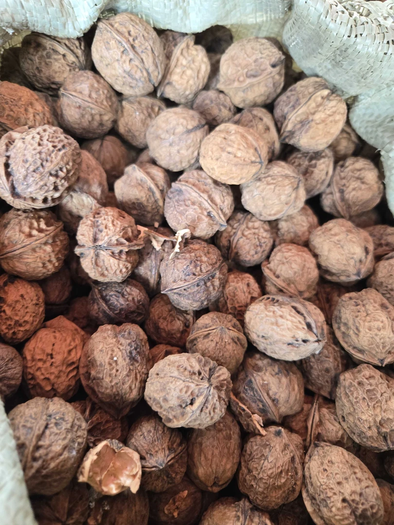 【云南老树新鲜紫皮干核桃】硬皮干核桃酥脆原味新货饱满老品种大果