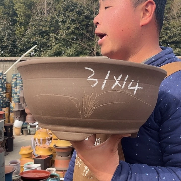 紫砂紫砂花盆盆栽