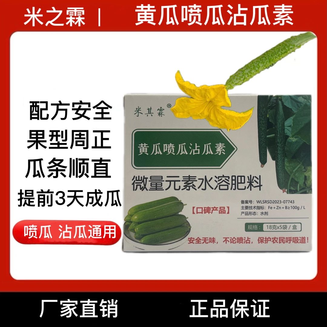黄瓜喷瓜沾瓜素瓜条顺直