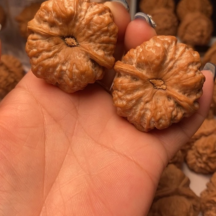 康***肉核桃微修11111111111