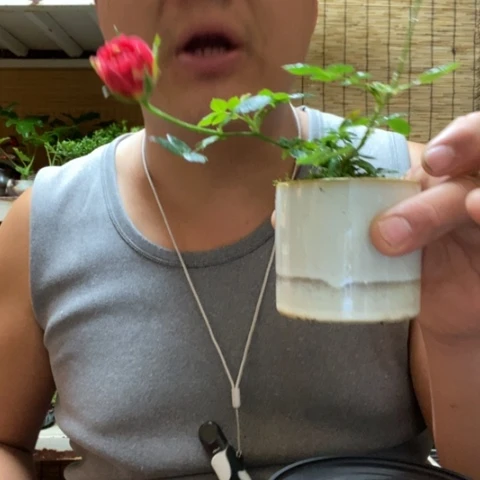 红陶杨**亿一物一拍所见即所得146