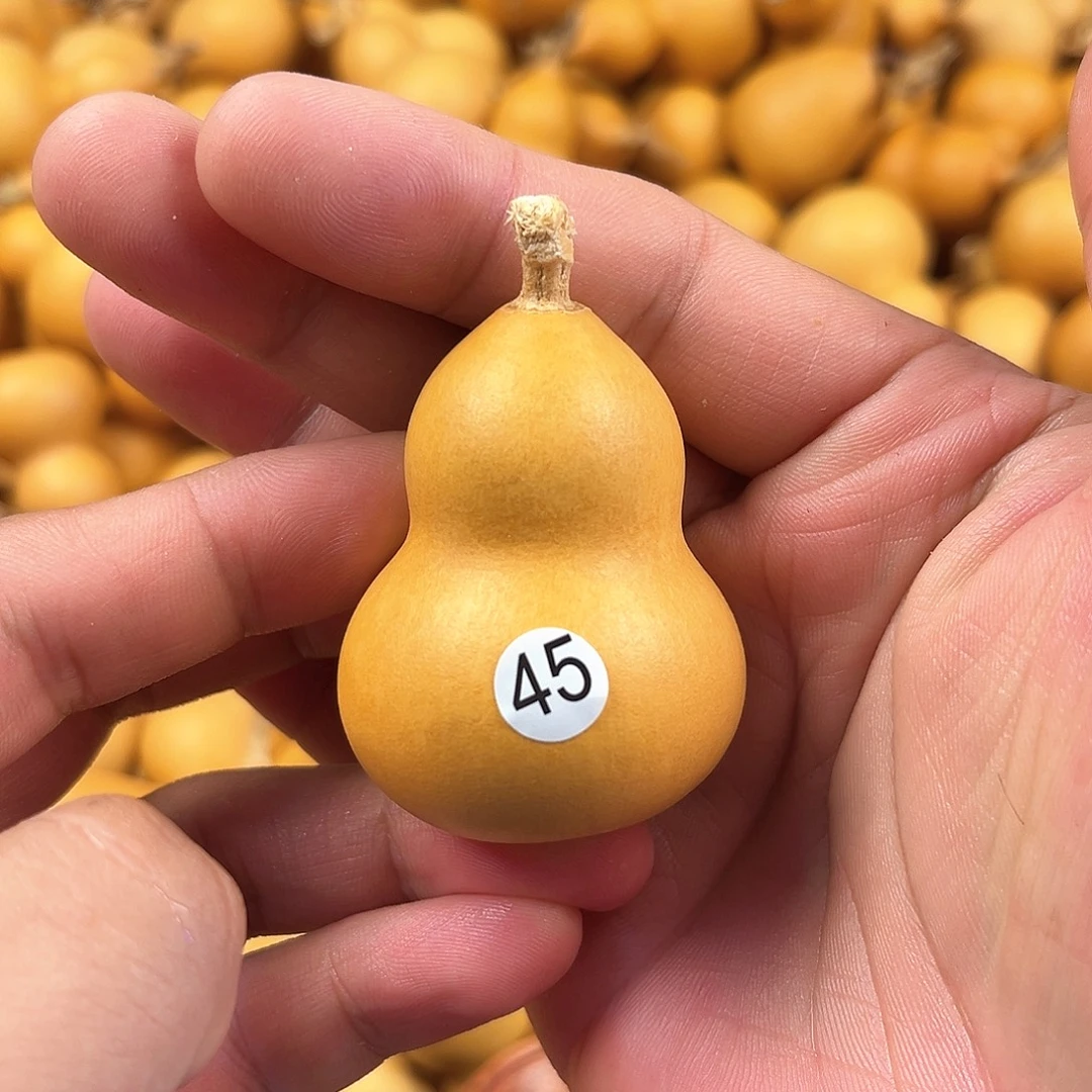 四葫芦葫芦葫芦葫芦45