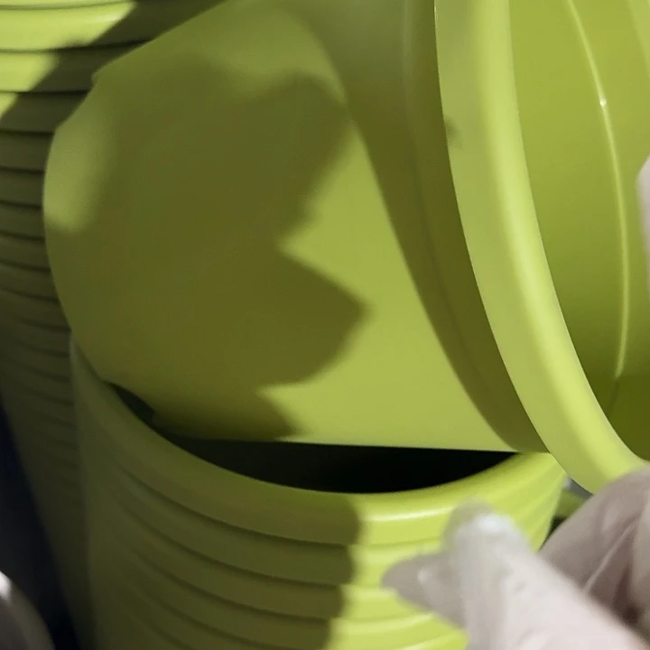 四季5号果绿无托10个特价