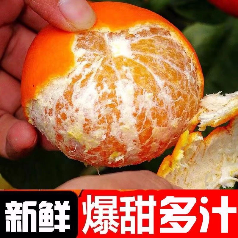 正宗云南高原沃柑爆甜玉溪柑橘新鲜现摘现发应季水果
