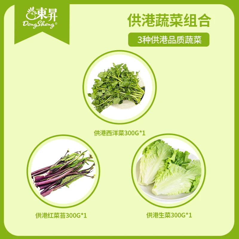 东升农场 供港蔬菜组合约900g西洋菜红菜苔生菜广东蔬菜次日达西兰花