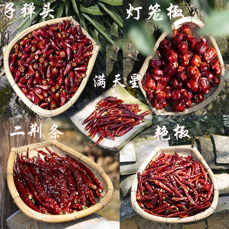 【全家福】贵州5种干辣椒全家桶  二荆条满天星灯笼椒子弹头石柱红