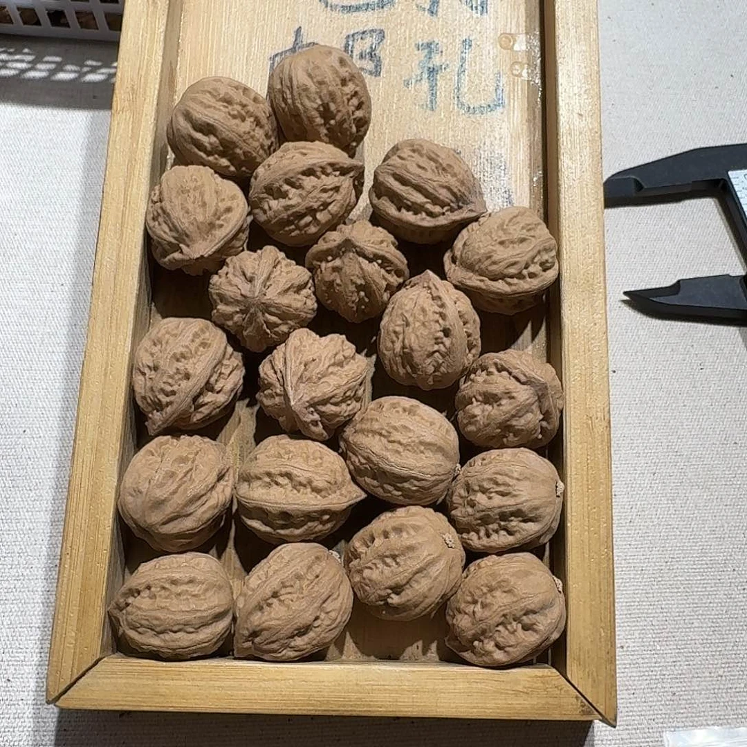 核桃手串/手链40号边23手持