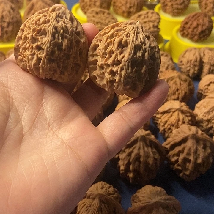 文玩核桃 白狮子