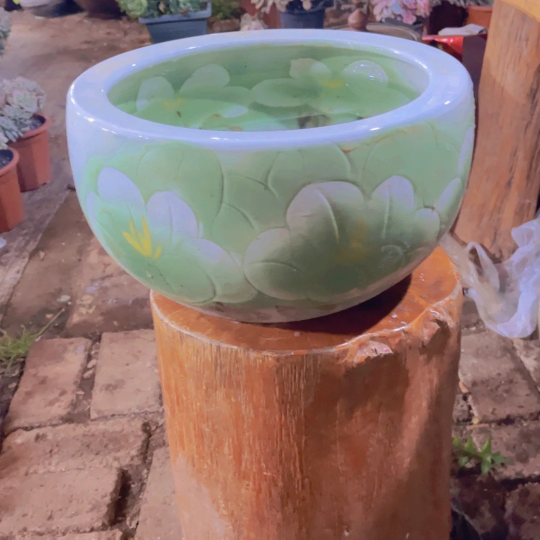 仙***️多肉植物保护研究所所长的