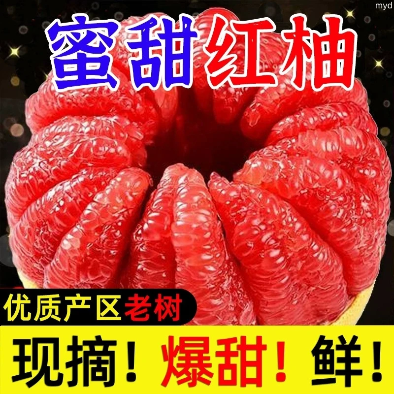 湖北荆州红心蜜柚老树红肉薄皮多汁新鲜水果清甜可口