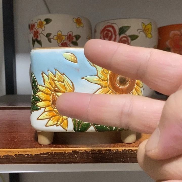 韩式多肉植物花盆