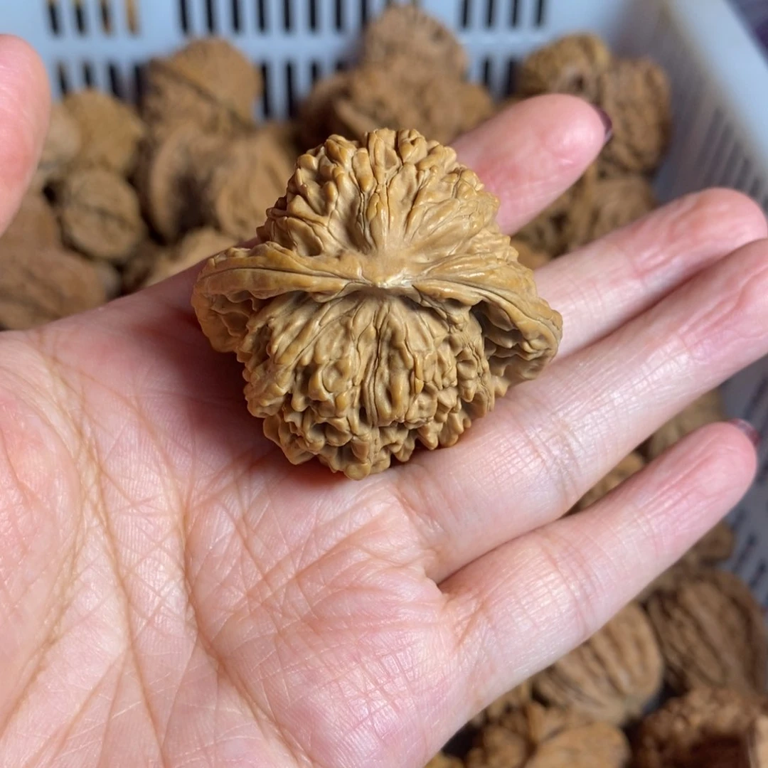 鲁***吃文玩核桃把件文玩