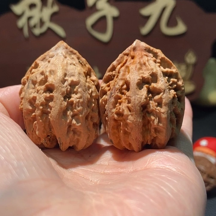 木质类聚核财婉楸48