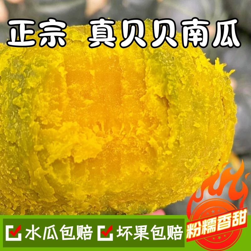 正宗贝贝南瓜粉糯香甜板栗味南瓜代餐粗粮