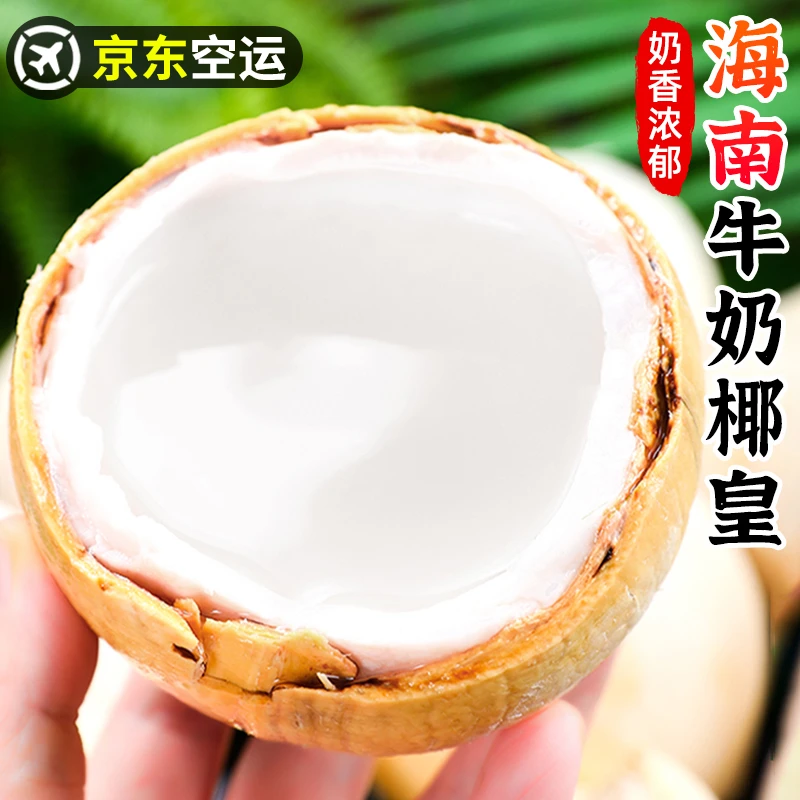 【京东空运】海南牛奶椰皇3-12个毛椰椰青椰宝老椰子肉椰汁新鲜水果