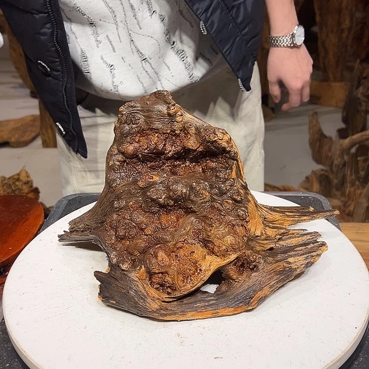 松木（琥珀木）维山东队