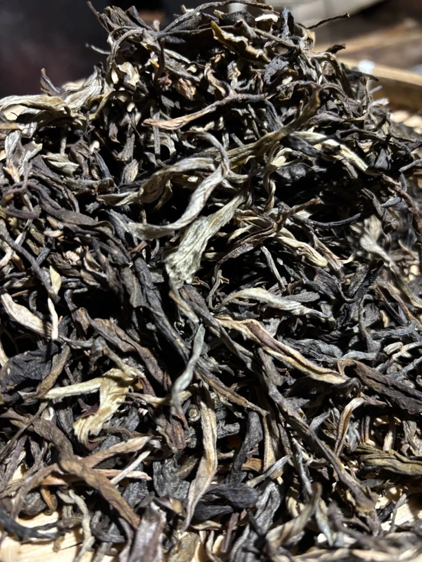 九里坡古树散茶 2024春茶