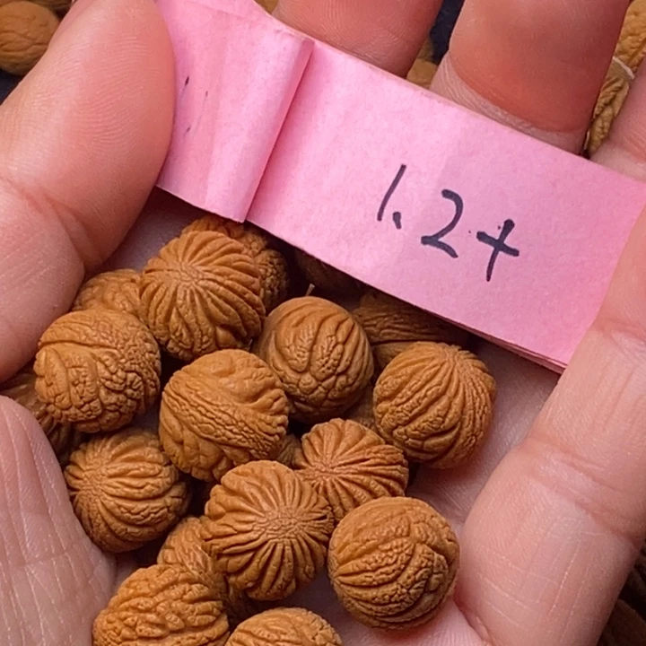秦岭龙纹桃核20颗