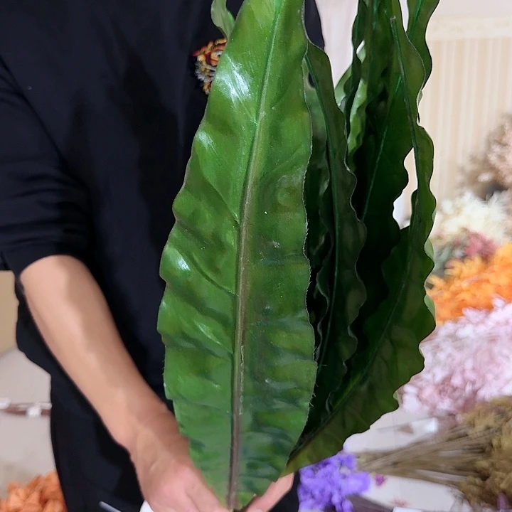 绿色大叶子单片10支装