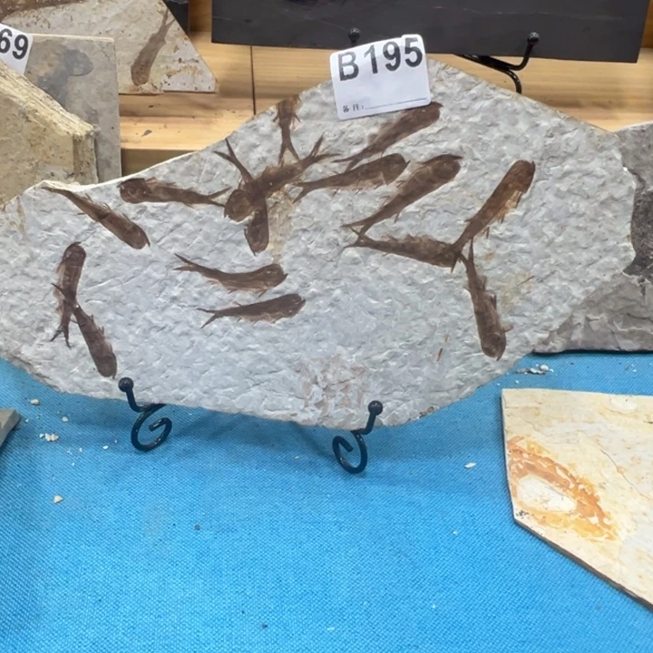 李***峰有机玻璃家居摆件家居摆件