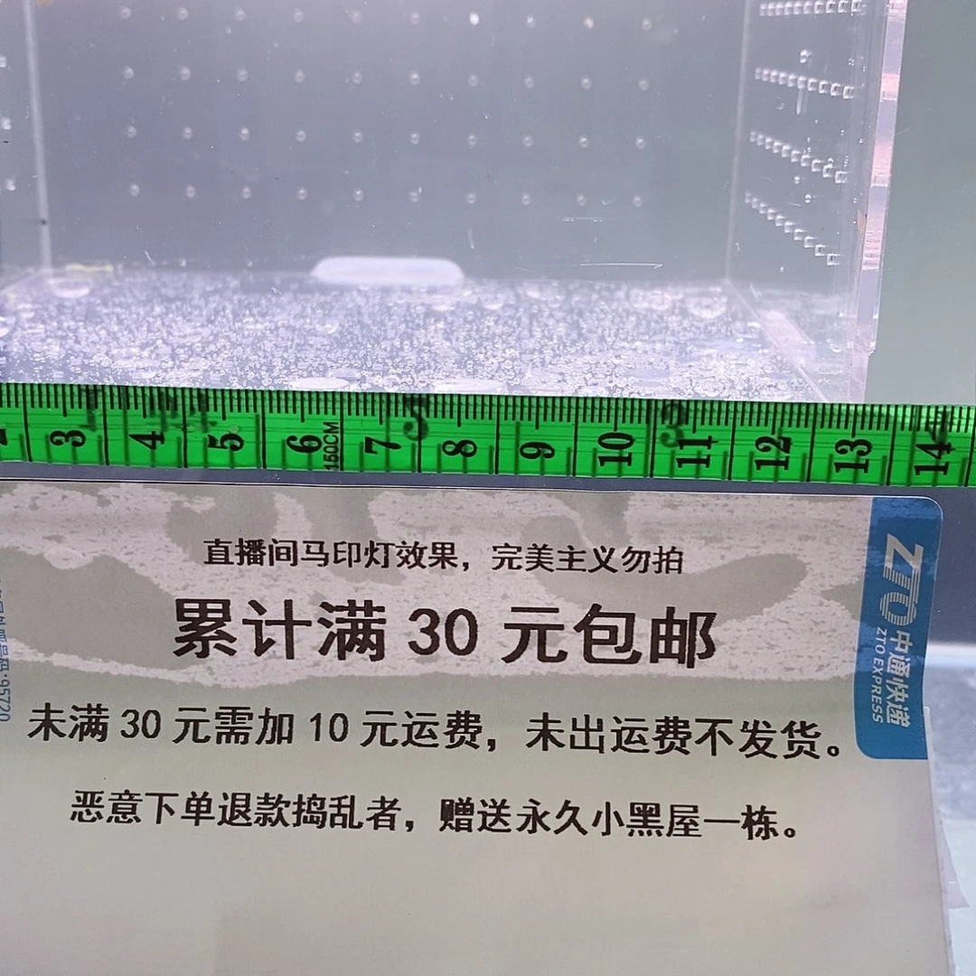 金鱼红****?泰师混色金鱼随机发货