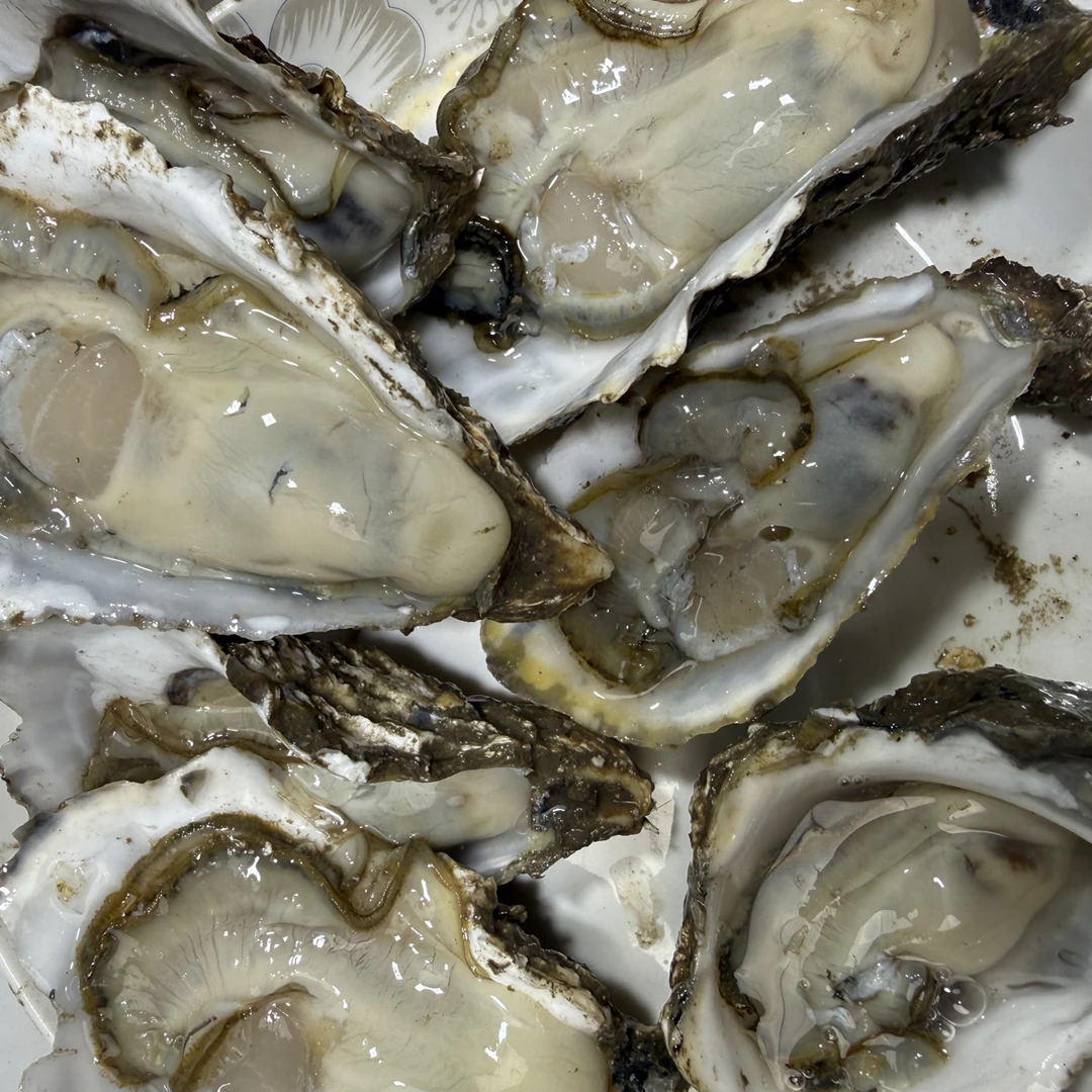 大连本地野生海蛎子 净重5斤【顺丰发货】