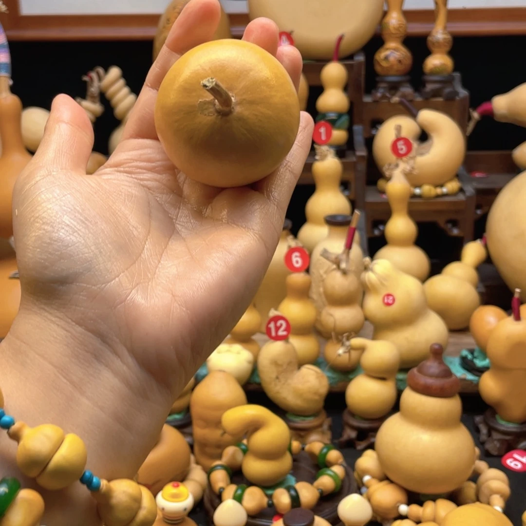 ?***✨大自然的秘密第十一节的
